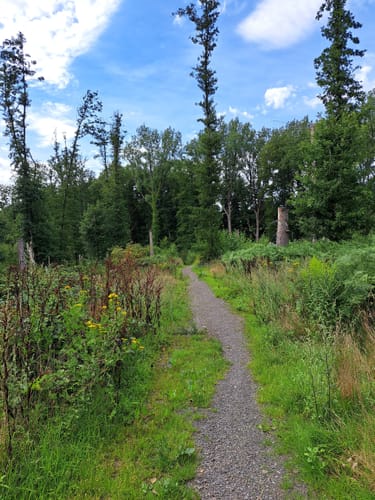 Golfplätze bei Fröndenberg Rundweg