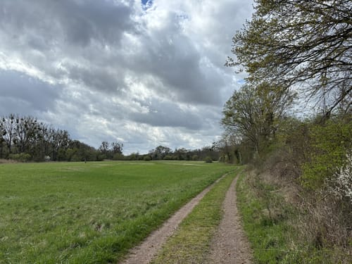 Riedstadt-Erfelden: Haubentaucherweg