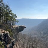 Whitaker Point Trail (Hawksbill Crag), Arkansas - 3,738 Reviews, Map ...