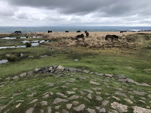 10 Best Hikes And Trails In Mendip Hills National Landscape (AONB ...