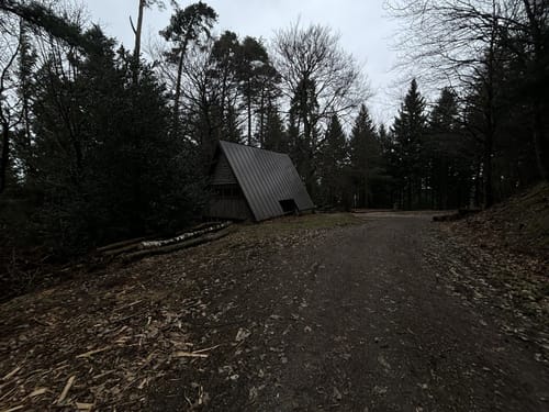 Tour zum Fremersberg