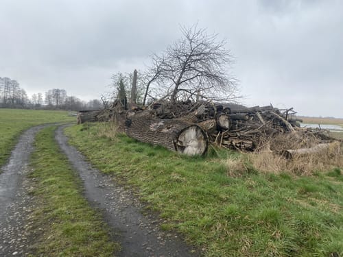 Trechwitz rund um dem Strengsee