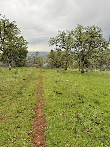 Best Hikes and Trails in Loma Rica | AllTrails