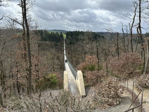 Geierlayschleife (Premiumwanderweg)