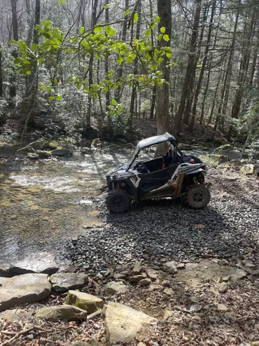 Best Off Road Driving Trails in Prentice Cooper State Forest | AllTrails