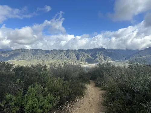 10 Best Trails and Hikes in Yucaipa | AllTrails