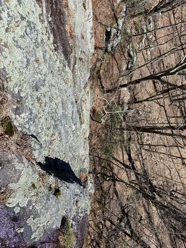 Best Moderate Trails in Devils Den Nature Preserve | AllTrails