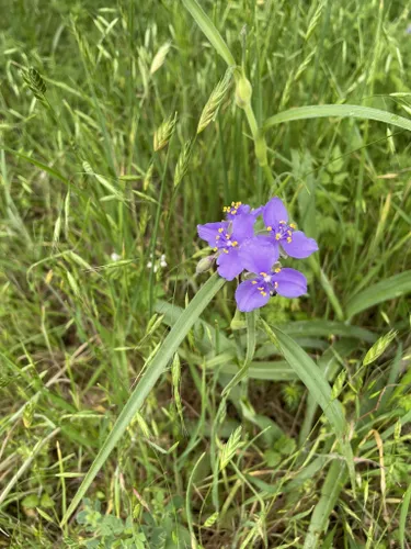 Best Hikes and Trails in Universal City Cibolo Creek | AllTrails