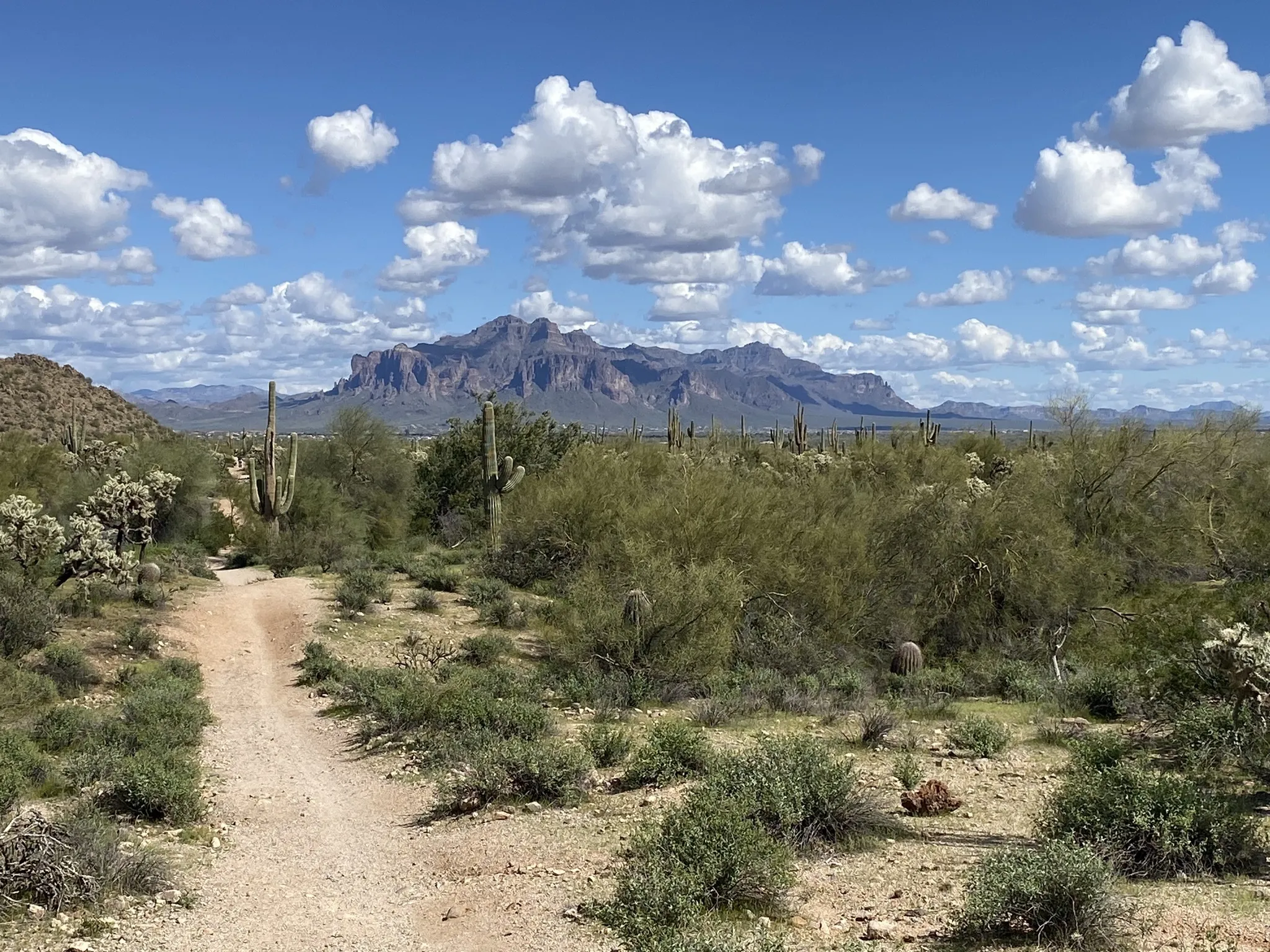 Explore the 15 best walks in Phoenix, Arizona, featuring scenic trails, desert landscapes, and iconic viewpoints. Whether you're a casual walker or a seasoned hiker, find the perfect route for your next adventure! Phoenix Hikes, Hikes In Phoenix Arizona, Phoenix Arizona Hikes, Easy Hikes In Phoenix Arizona, Best Hikes Near Phoenix AZ, Best Hikes In Phoenix Arizona
