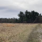 Hockamock Swamp, Massachusetts - 347 Reviews, Map | AllTrails