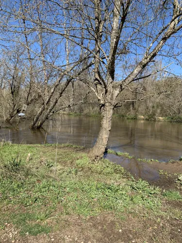 Trout Hike - Middle Patuxent (MD - Murray Hill) - CatchGuide Outdoors