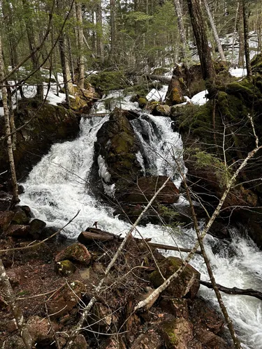 Best Hikes and Trails in Folly Lake | AllTrails