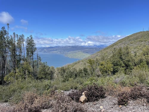 Photos of Wright Peak Summit Trail California AllTrails