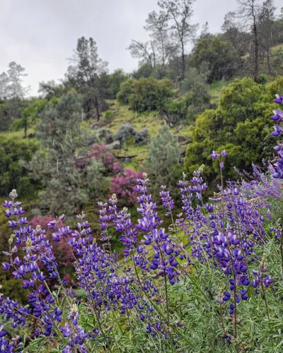 Best Lake Trails in Auberry AllTrails