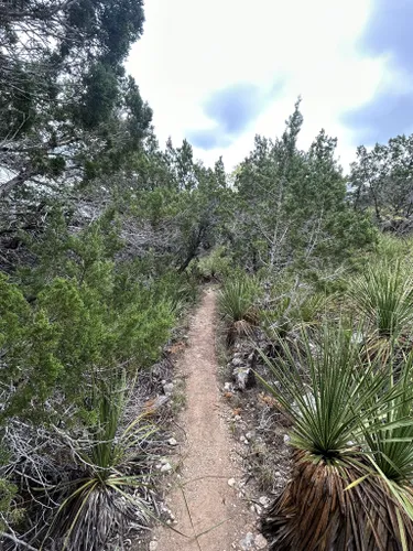 Trails in Hill Country State Natural Area, Texas, United States 72109969 | AllTrails.com