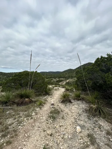 Trails in Hill Country State Natural Area, Texas, United States 72109970 | AllTrails.com