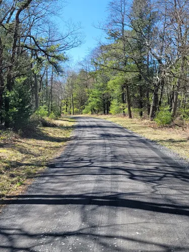 10 Best Short Trails in Bald Eagle State Forest | AllTrails