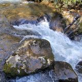 Hemlock Falls Trail, Georgia - 1,224 Reviews, Map | AllTrails