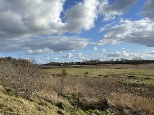 Rund um die Geltinger Birk