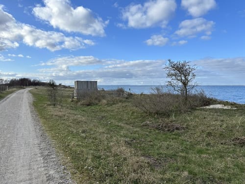 Rund um die Geltinger Birk