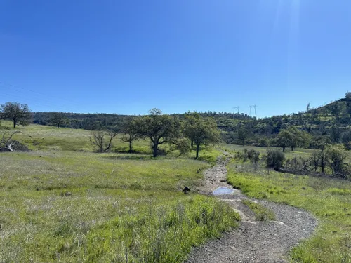 10 Best Trails and Hikes in Chico | AllTrails