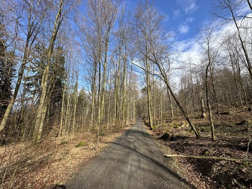 Naherholungsgebiet Forellenschänke - Sebnitzer Wald