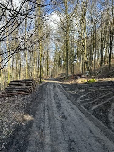 Naherholungsgebiet Forellenschänke - Sebnitzer Wald