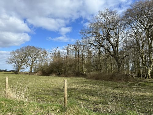 Rund um die Geltinger Birk