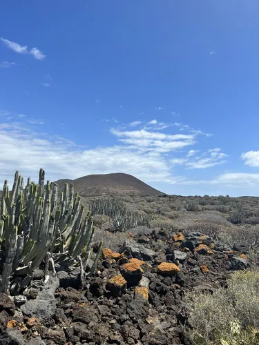Best Wild Flowers Trails in Reserva Natural Especial del Malpaís de la