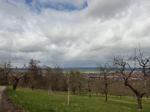 Rund um den Farrenberg