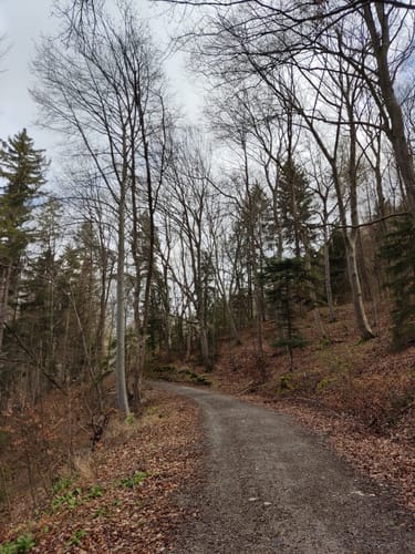 Rund um den Farrenberg