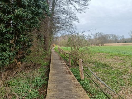Mühlenweg im Wiehengebirge Etappe 5: Belm - Wallenhorst