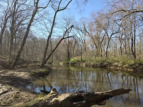 Best Forest Trails in Jamesburg | AllTrails