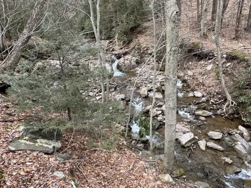 Best Hikes and Trails in Fieldstone Farm Tank Creek Preserve | AllTrails