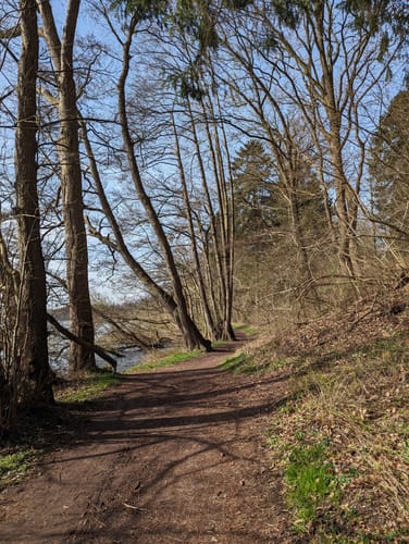 Großer Segeberger See