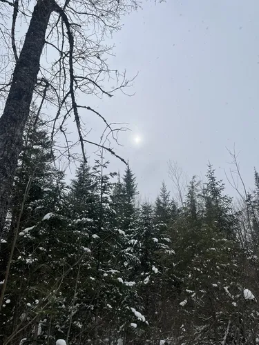 Best Camping Trails in Otter Lake | AllTrails