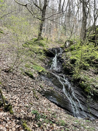 Saar-Hunsrück-Steig Etappe 20: Mörsdorf - Kastellaun