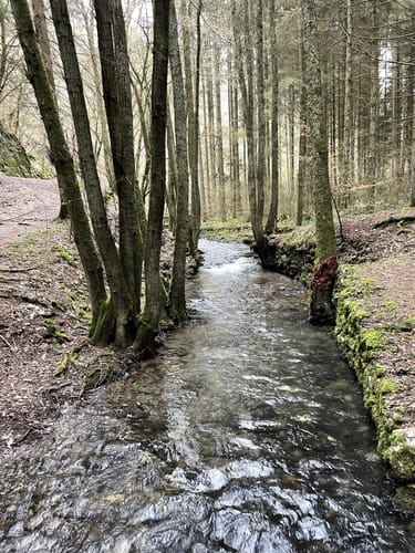 Saar-Hunsrück-Steig Etappe 20: Mörsdorf - Kastellaun