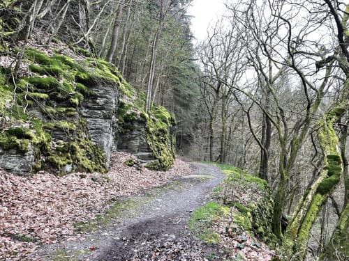 Saar-Hunsrück-Steig Etappe 20: Mörsdorf - Kastellaun
