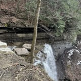 Tinker Falls Upper, New York - 424 Reviews, Map | AllTrails