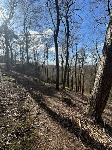 Breitenwald ab Hauptstuhl