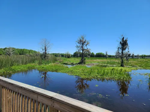 Best Hikes and Trails in Orlando Wetlands Park | AllTrails