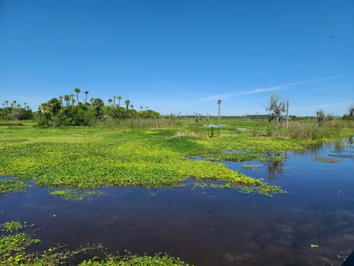 Best Hikes and Trails in Orlando Wetlands Park | AllTrails