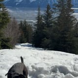 Bird Ridge Trail, Alaska - 1,007 Reviews, Map | AllTrails
