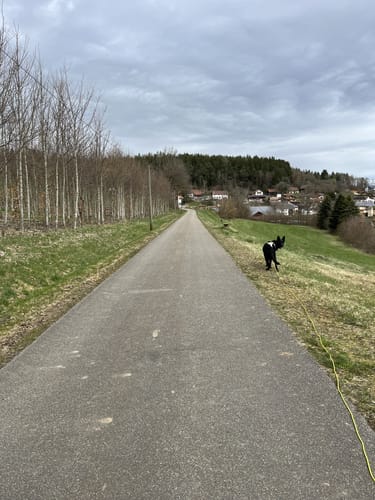 Solerholzweg (Tr02)