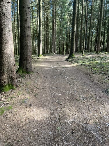 Solerholzweg (Tr02)