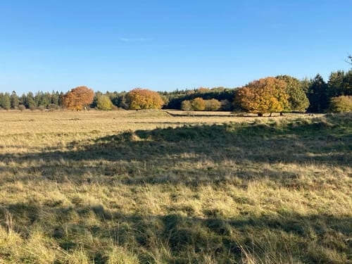 Wittenborner Heide und Segeberger Staatsforst ab Wittenborn