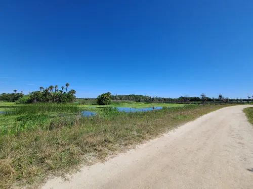 Best Hikes and Trails in Orlando Wetlands Park | AllTrails