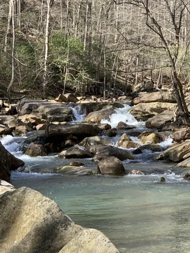 Best Walking Trails in Soddy Daisy | AllTrails