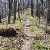 Scotts Gap Loop Trail, Kentucky - 959 Reviews, Map | AllTrails